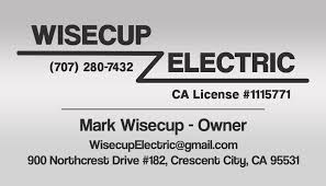 wisecup electric